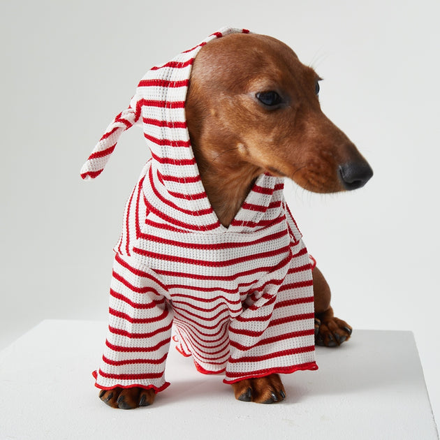 Striped Hooded Pet Outfit