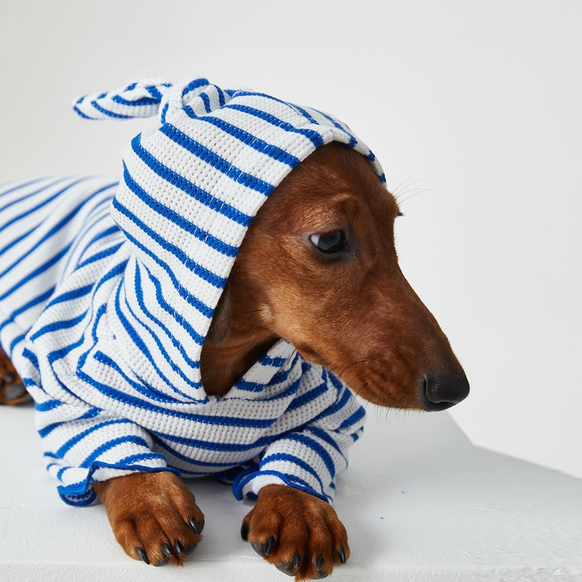 Striped Hooded Pet Outfit