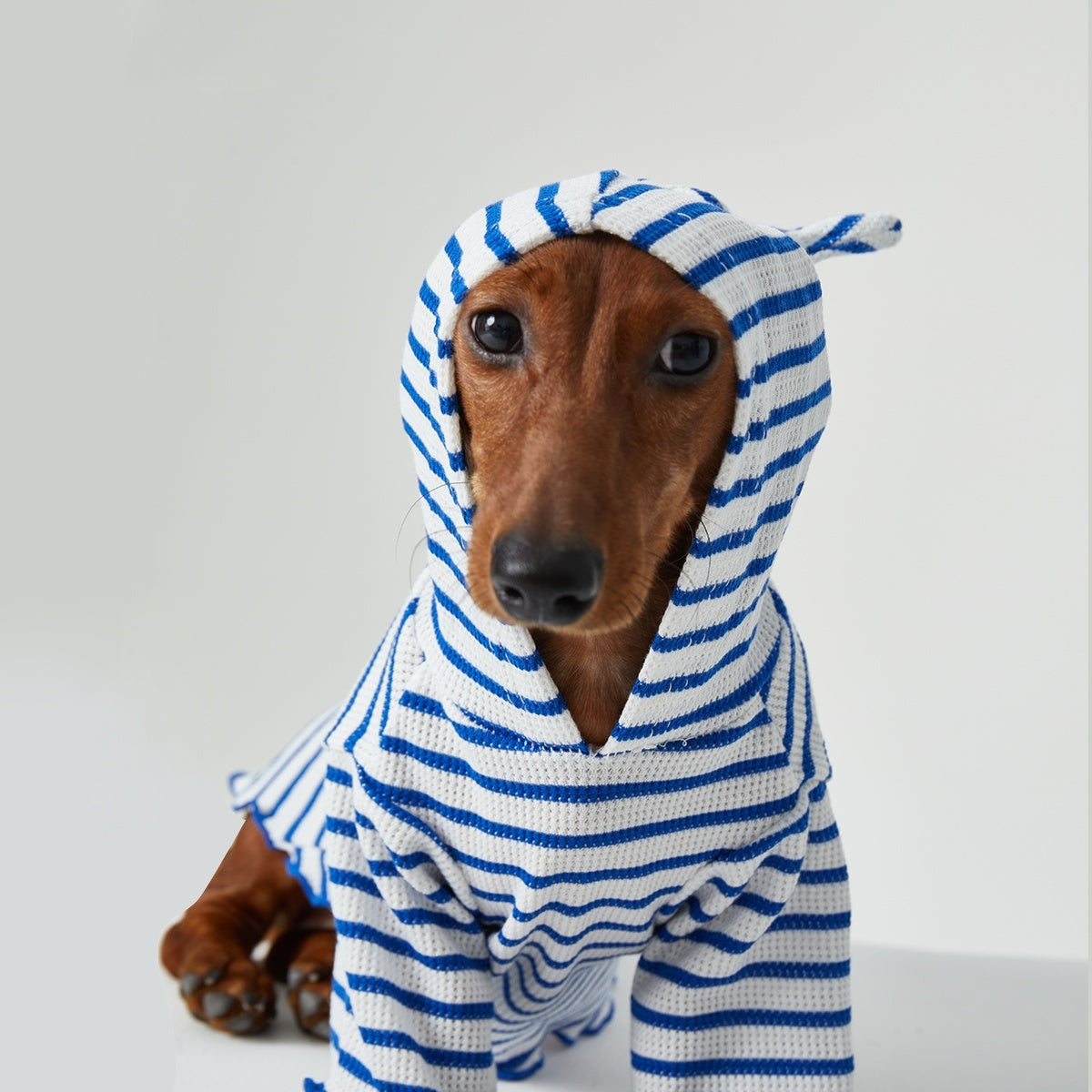 Striped Hooded Pet Outfit