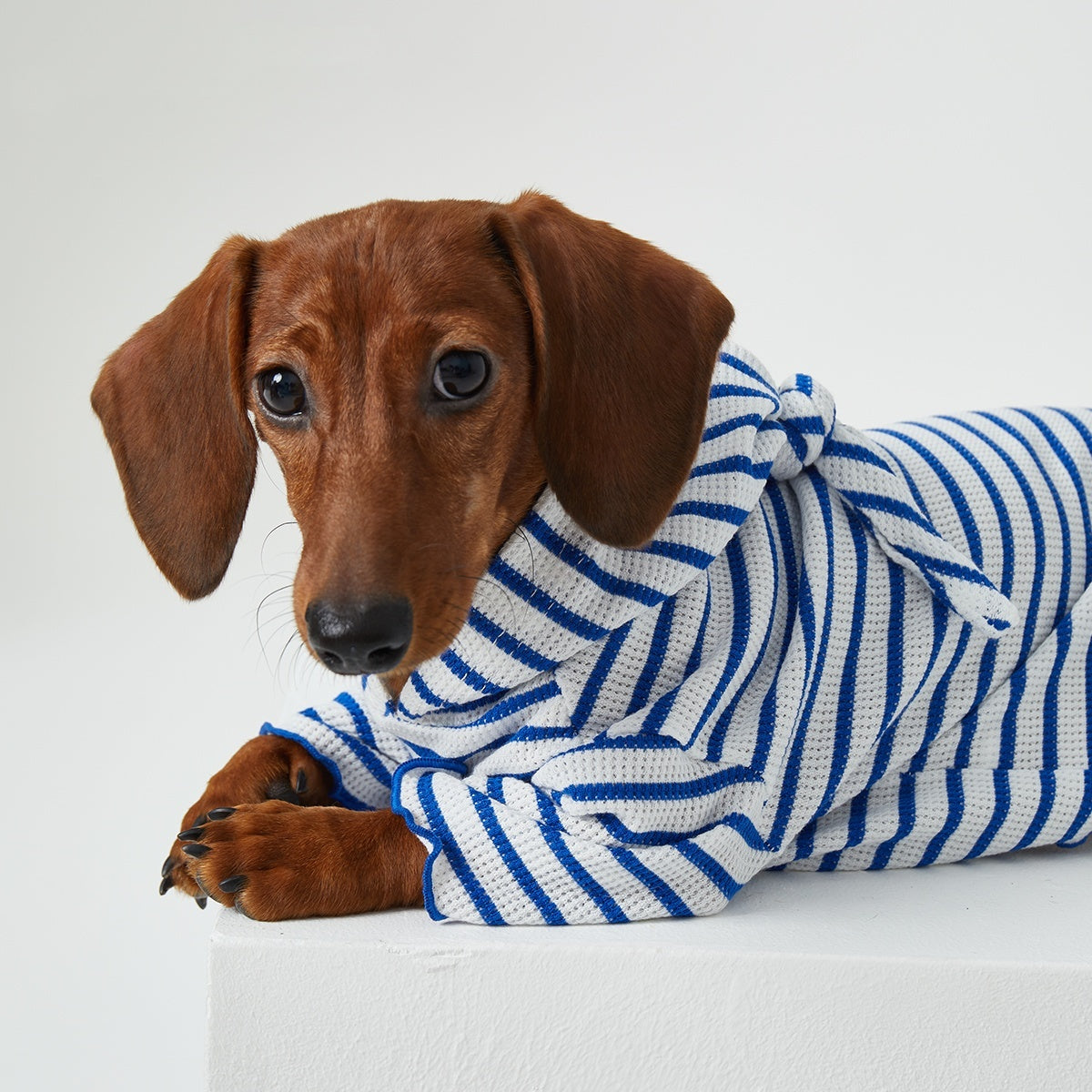 Striped Hooded Pet Outfit