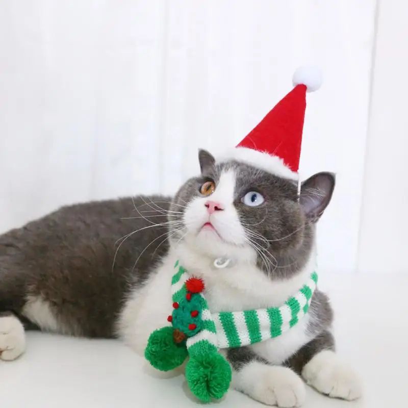 Adjustable Winter Knitted Pet Scarf