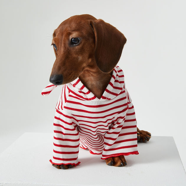 Striped Hooded Pet Outfit